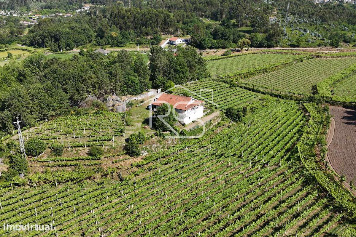 Quinta T6 | Selho São Jorge, Guimarães-7