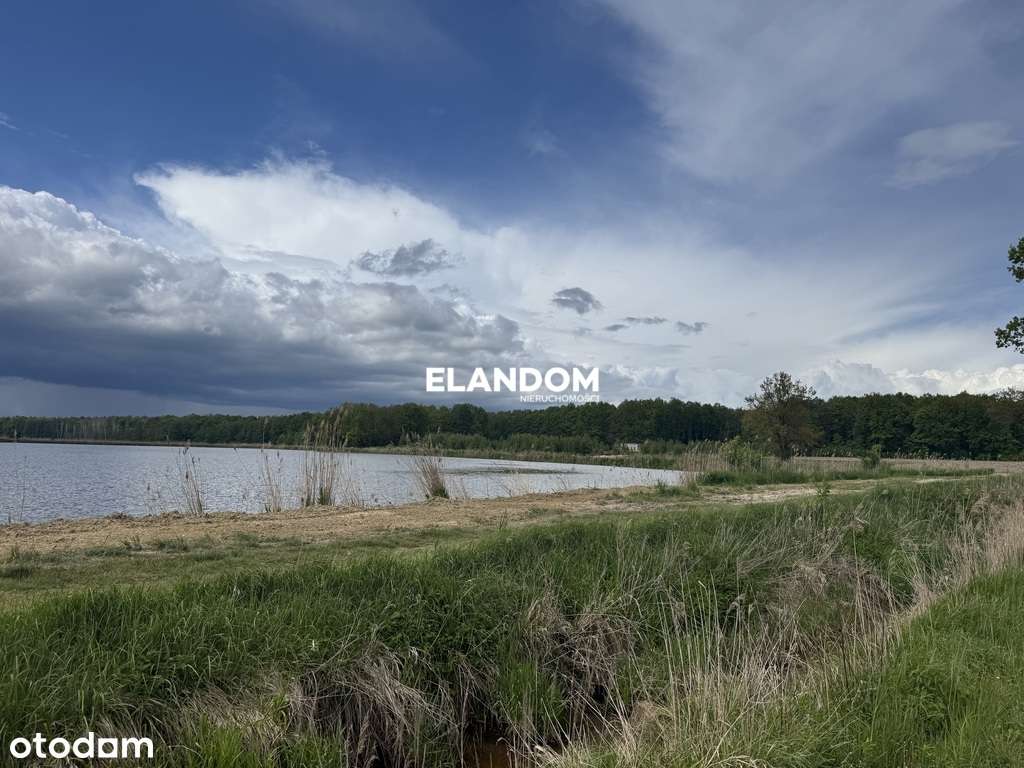 Działka, Grzegorzewice, oaza spokoju, pow. 3058m2 - Pełny obrazek: 5/7