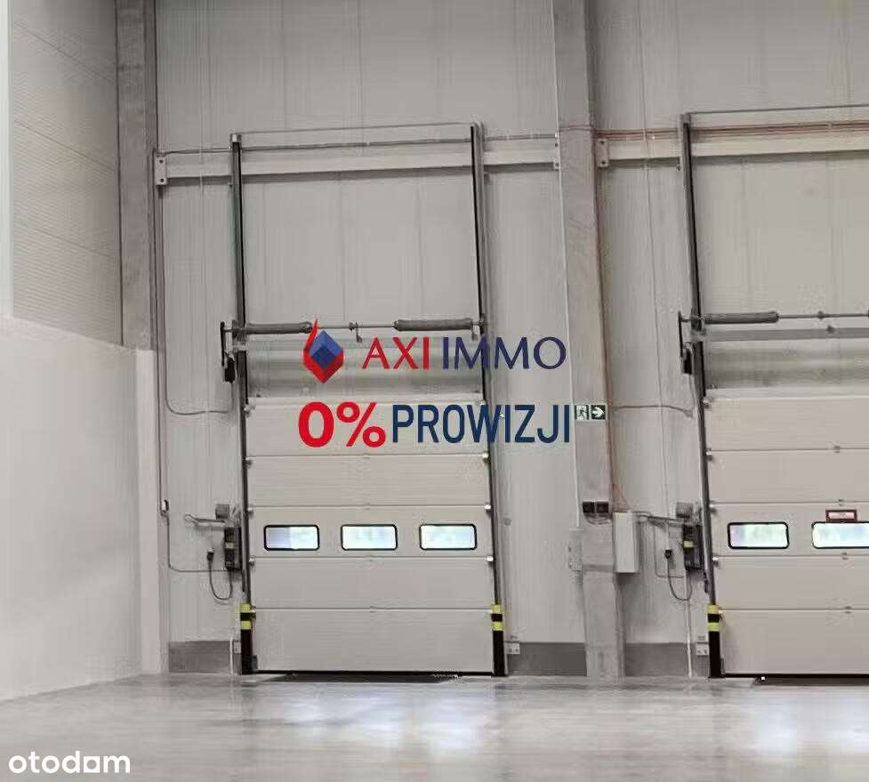 Hala 15 000 mkw. w Kokotowie, moduły od 2700 mkw. - Pełny obrazek: 3/3