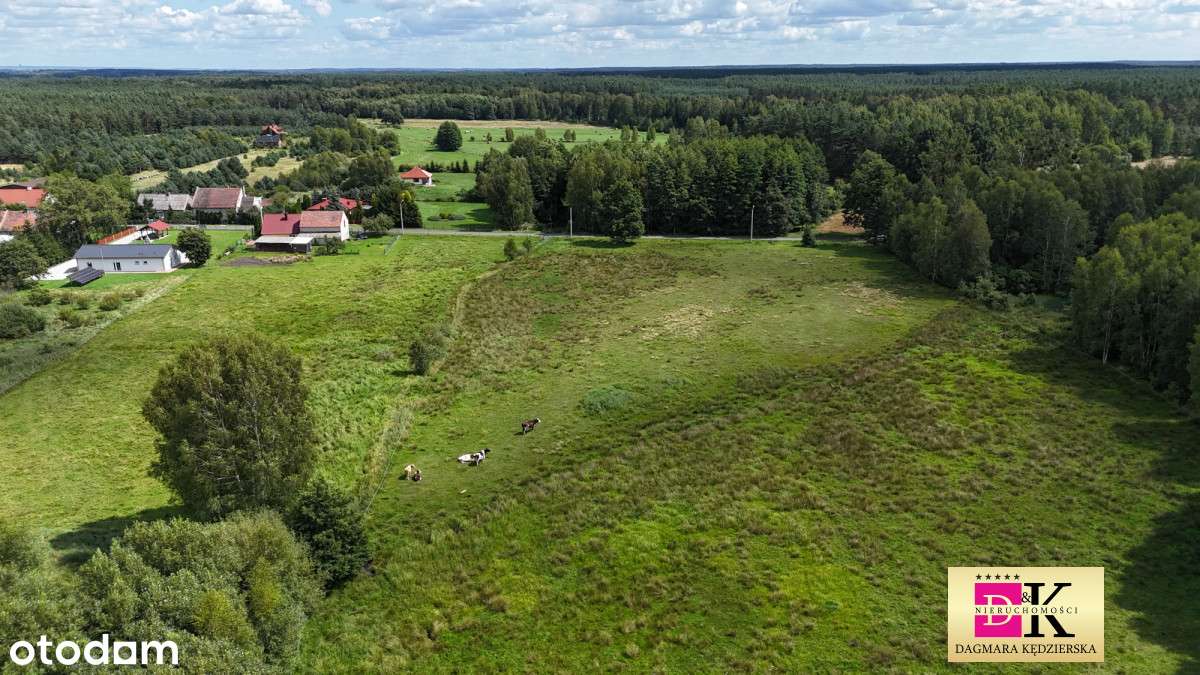 Duża Działka Pod Dom Jednorodzinny ! - Pełny obrazek: 3/5
