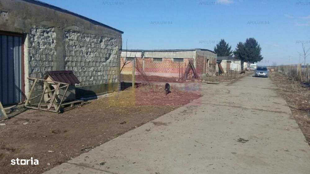 Teren Balotesti- Saftica - Imagine principală: 4/6