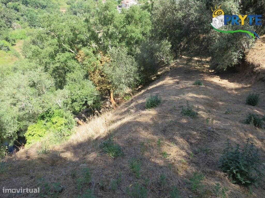 Terreno para construção situado na Sertã - Grande imagem: 5/14