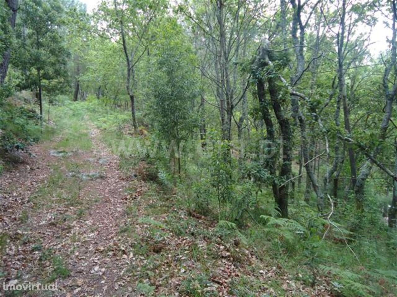 Fafe, Terreno