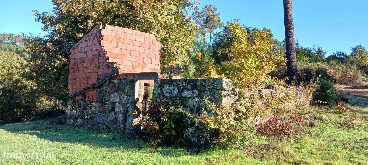 Fantástica Quinta nas Encostas do Rio Dão - Grande imagem: 5/17