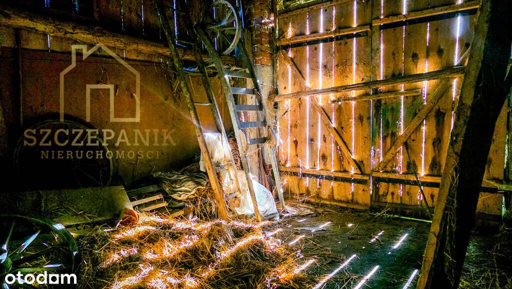 Klimatyczny, drewniany dom wśród drzew-15