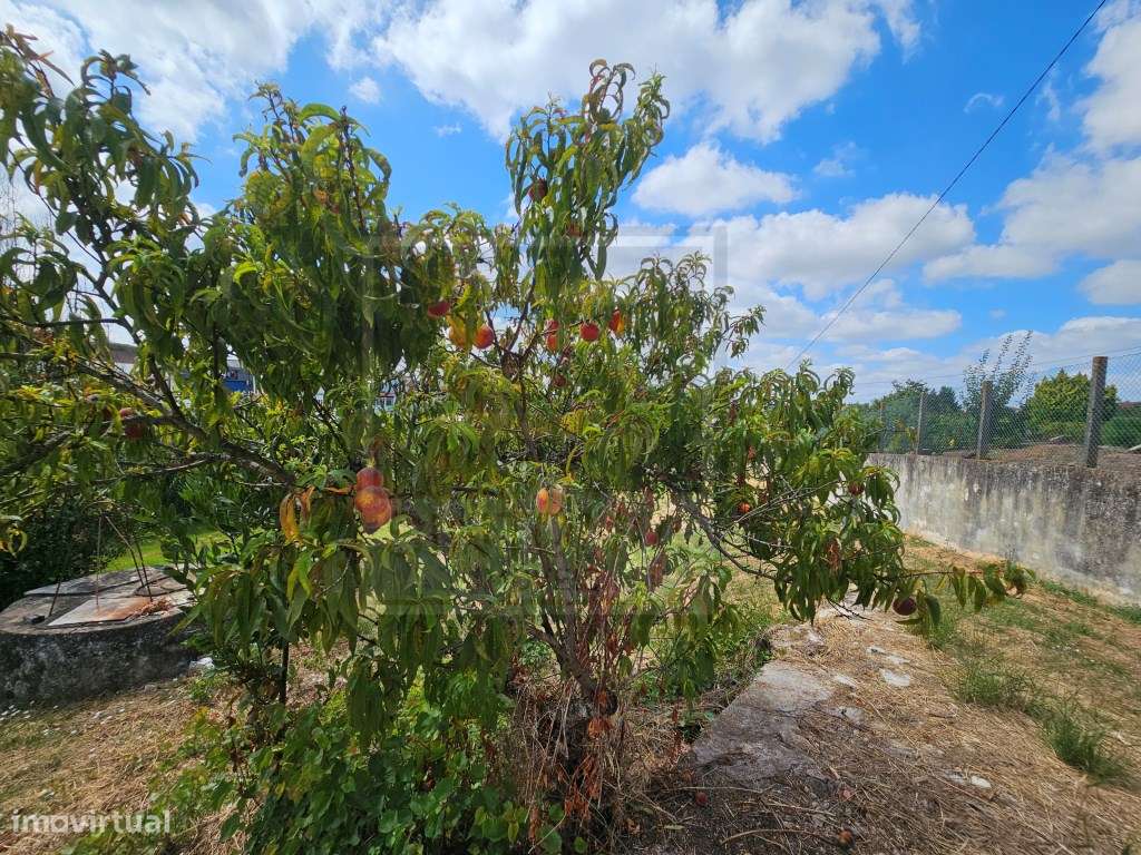 Moradia para Recuperar com Terreno de 1.600 m² na Ventosa, Cadaval-22