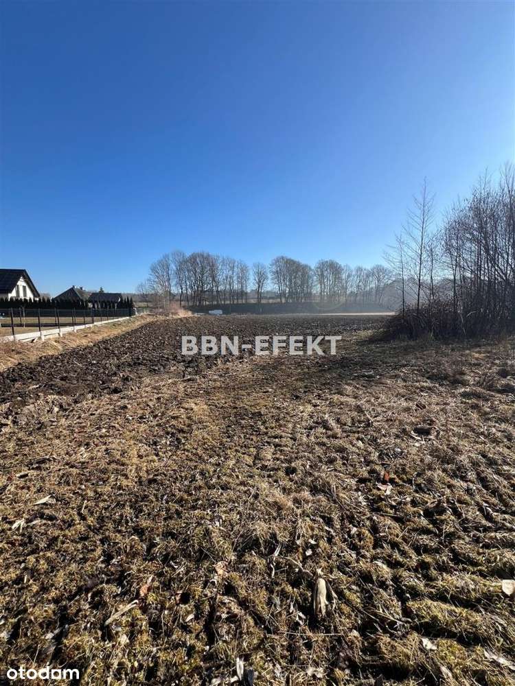 Działka, 10 170 m², Mazańcowice - Pełny obrazek: 4/8