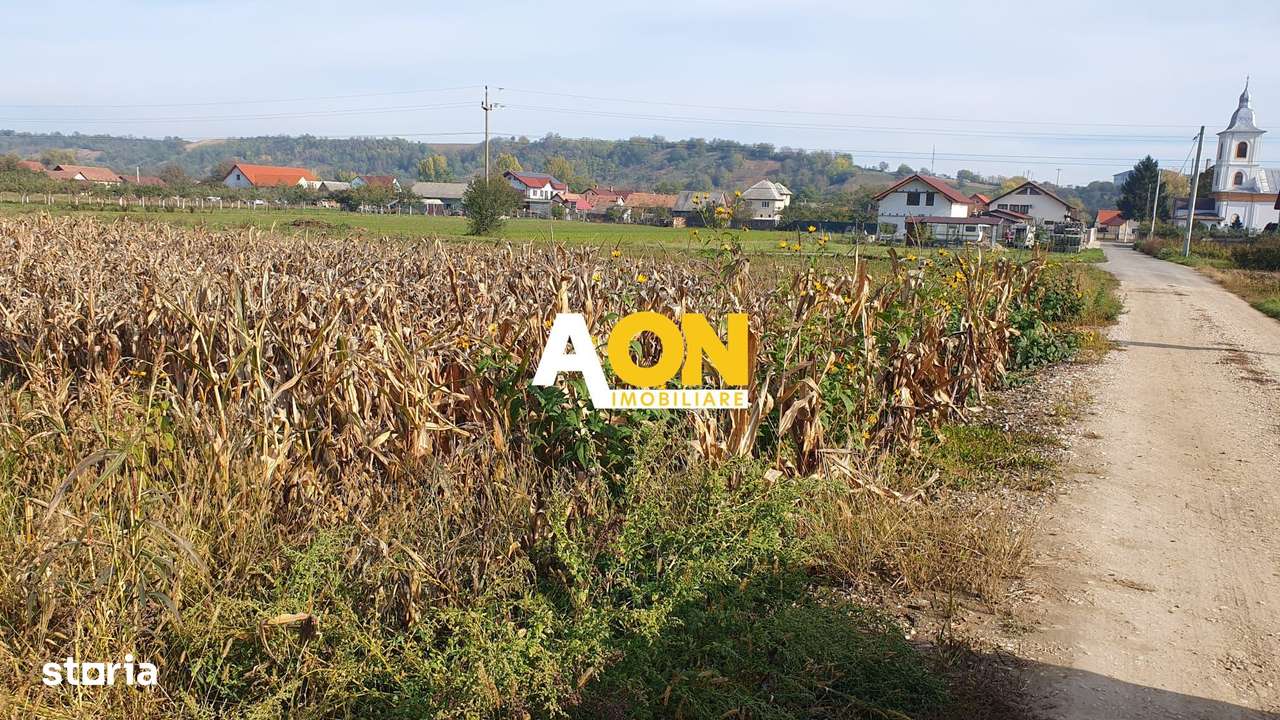 Teren intravilan Galda de Jos, 2100 mp - Imagine principală: 4/4