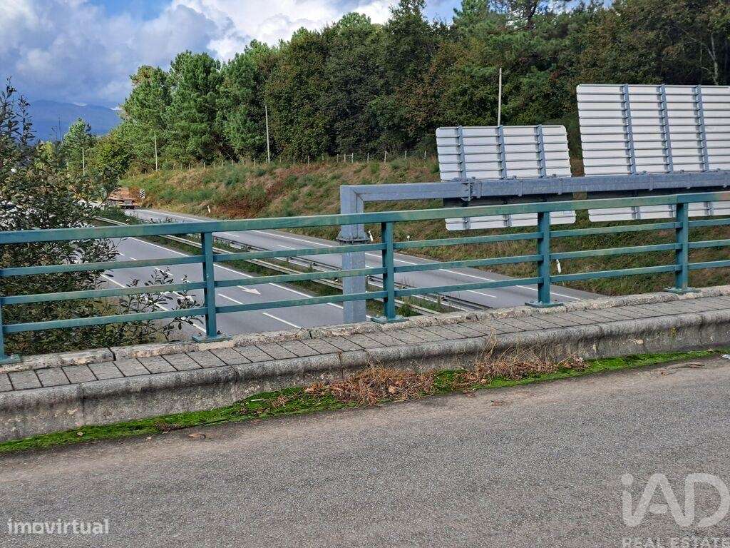 Terreno em Palmeira de 36000,00 m2 - Grande imagem: 4/21