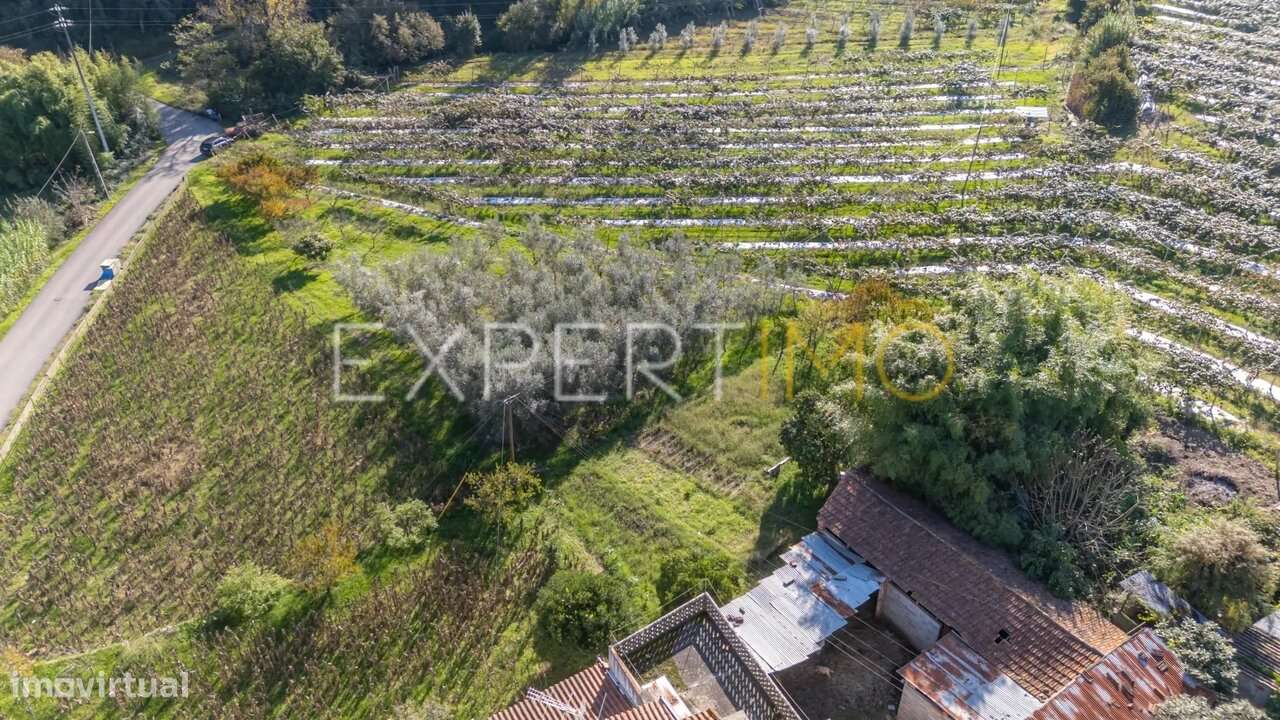 Terreno junto a Ribeiro em Quinta do Colaço (Almalaguês/Coimbra)-6