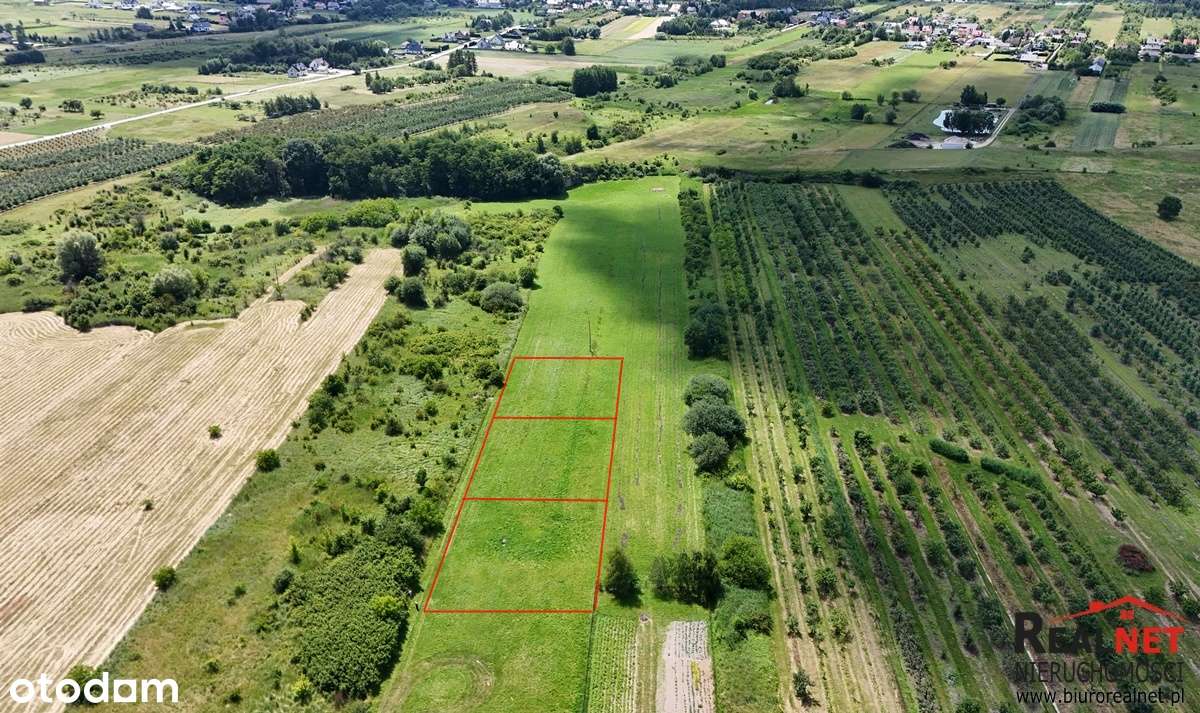 Działki budowlane 1000m2 Busko-Zdrój, Bronina - Pełny obrazek: 5/9