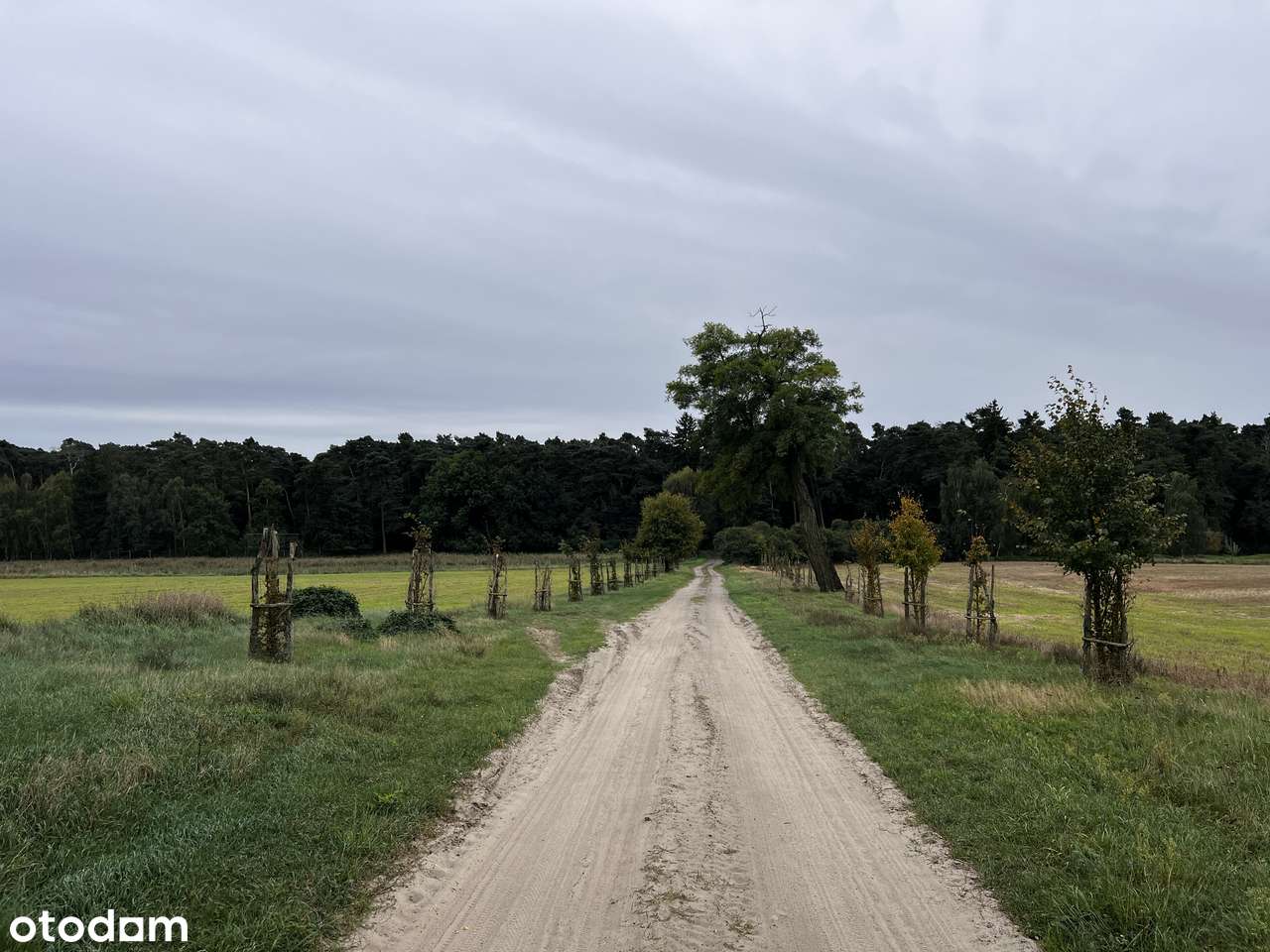 1h grunt pod zabudowę rezydencjonalną Wielkopolski Park Narodowy-12