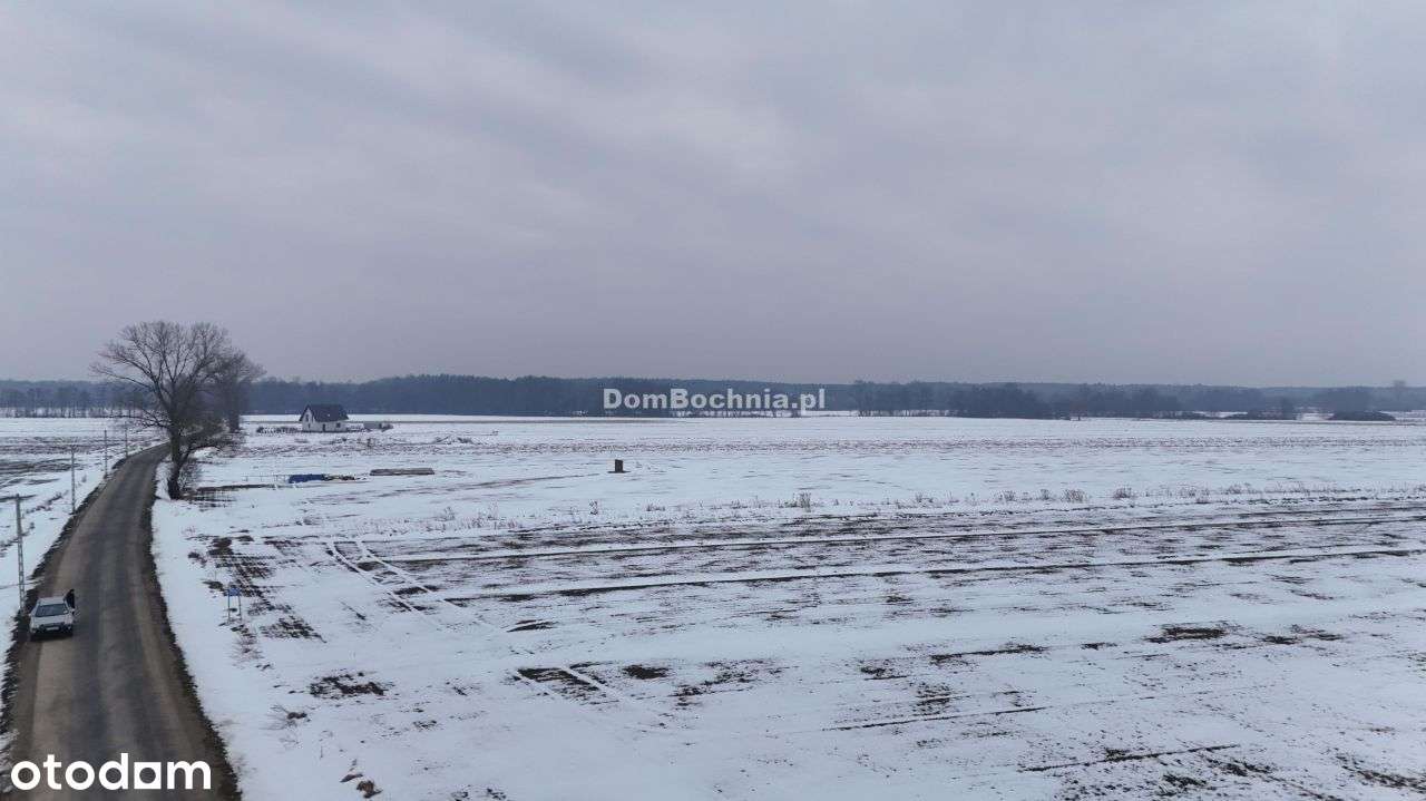 Działka przy nowej drodze gaz woda prąd Borzęcin-7