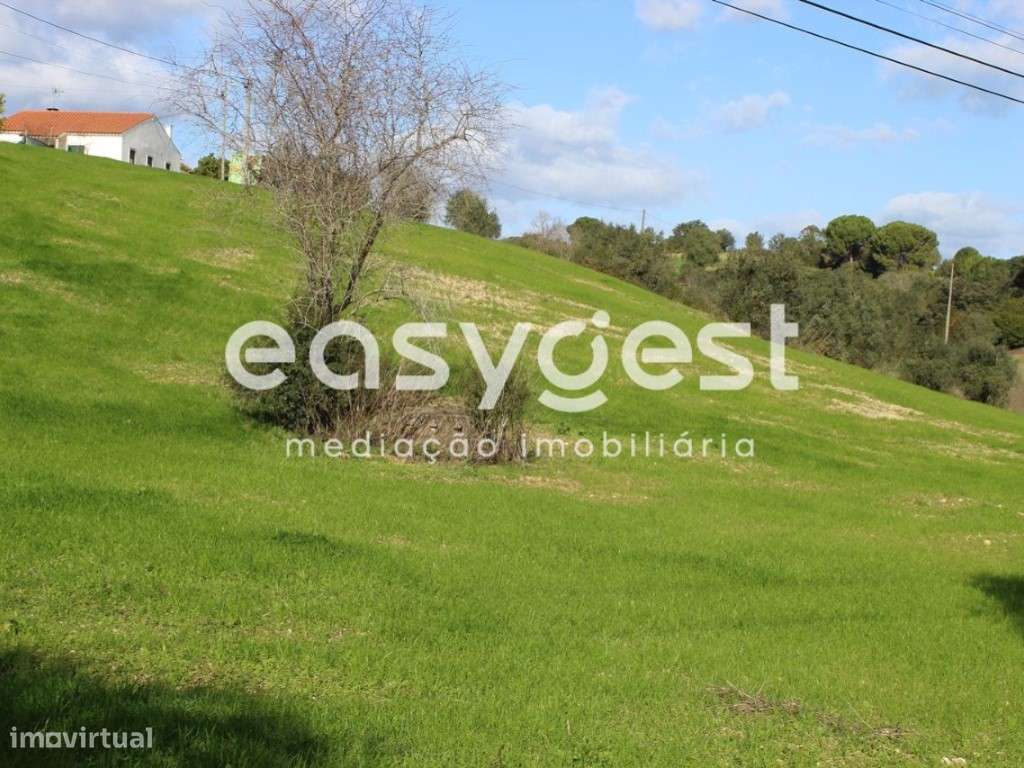 Terreno Rústico com 7520m2 em Valongo - Grande imagem: 3/9