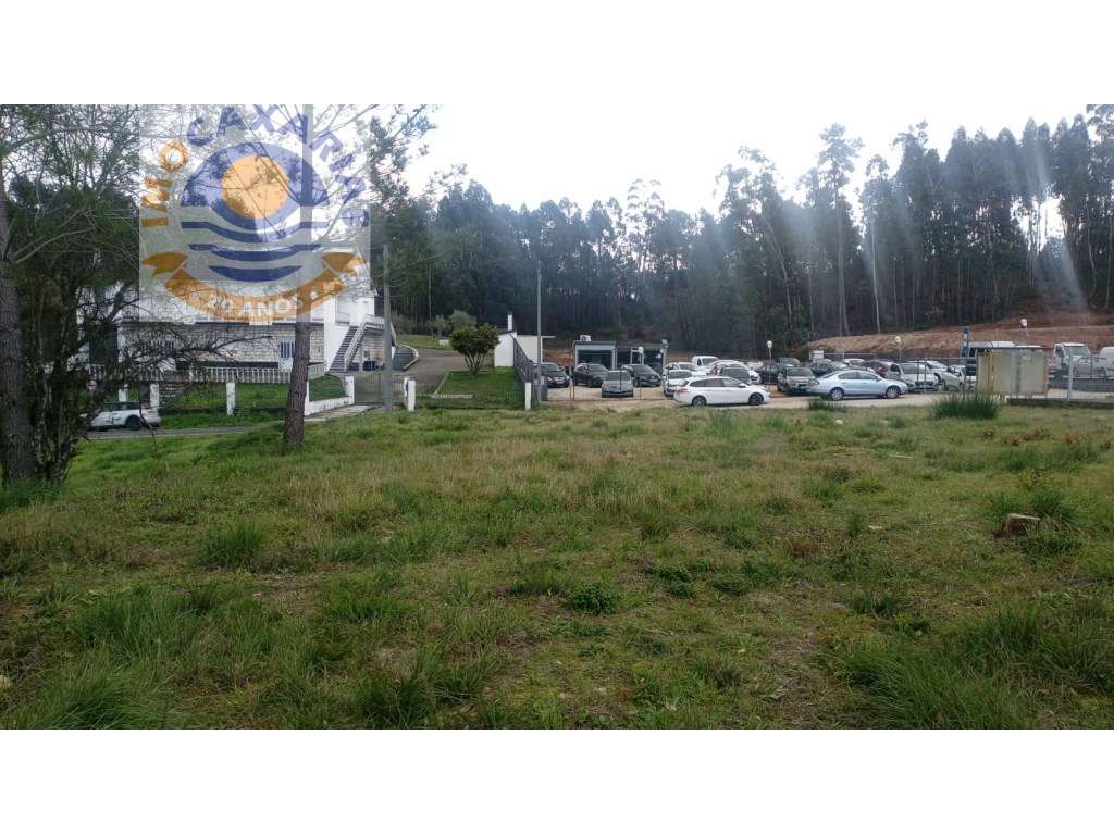 Terreno soalheiro e plano a 2 min de Caxarias e 10 min de Ourém - Grande imagem: 3/3