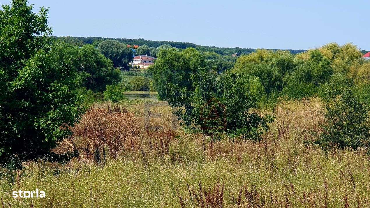 Teren 6.600mp cu deschidere la lac - zona centrala Corbeanca - Imagine principală: 2/4