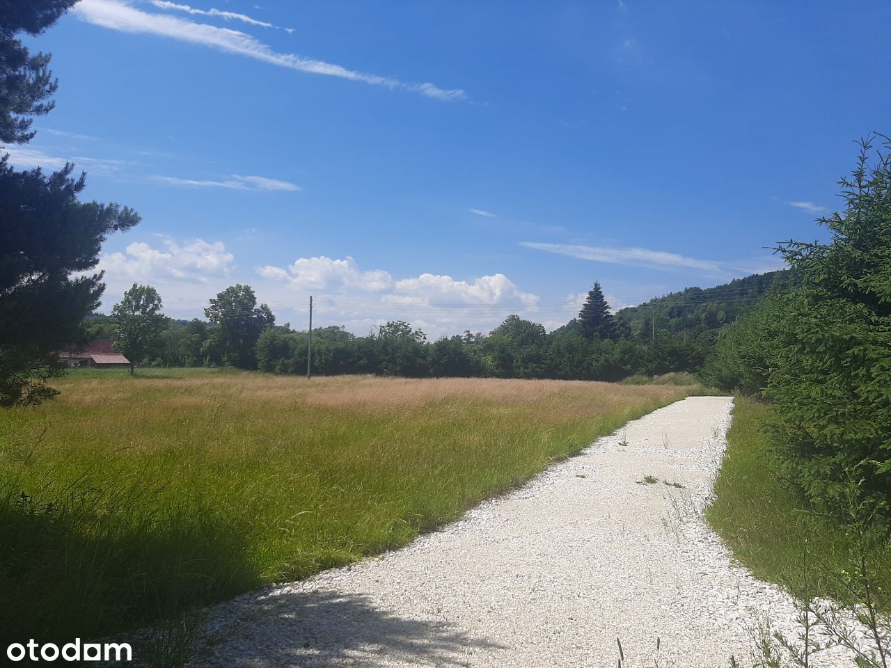 Trzebieszowice ok. Lądka Zdroju