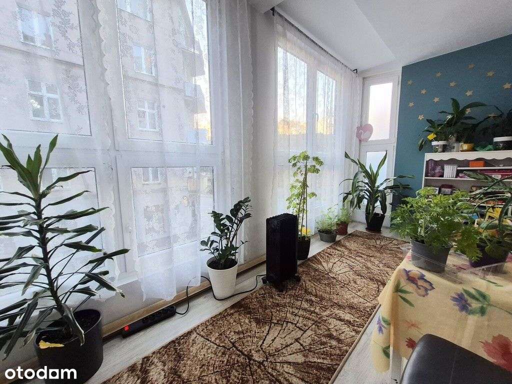 -Okazja-Rynek-Rozkład-Miejskie-Winda-Balkon-Taras--7