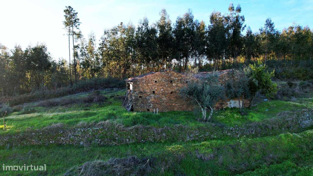 Quinta - Grande imagem: 3/19