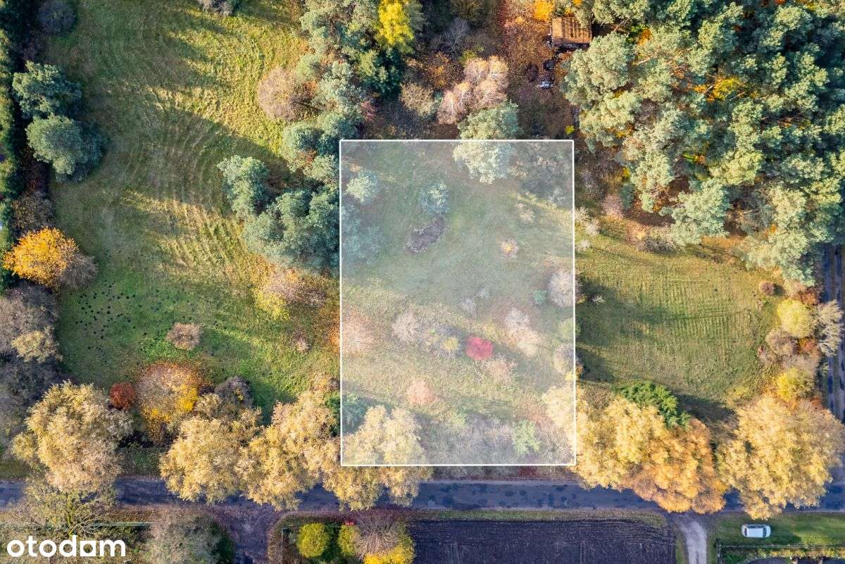 Działka budowlana tuż przy lesie WZ - Pełny obrazek: 4/11