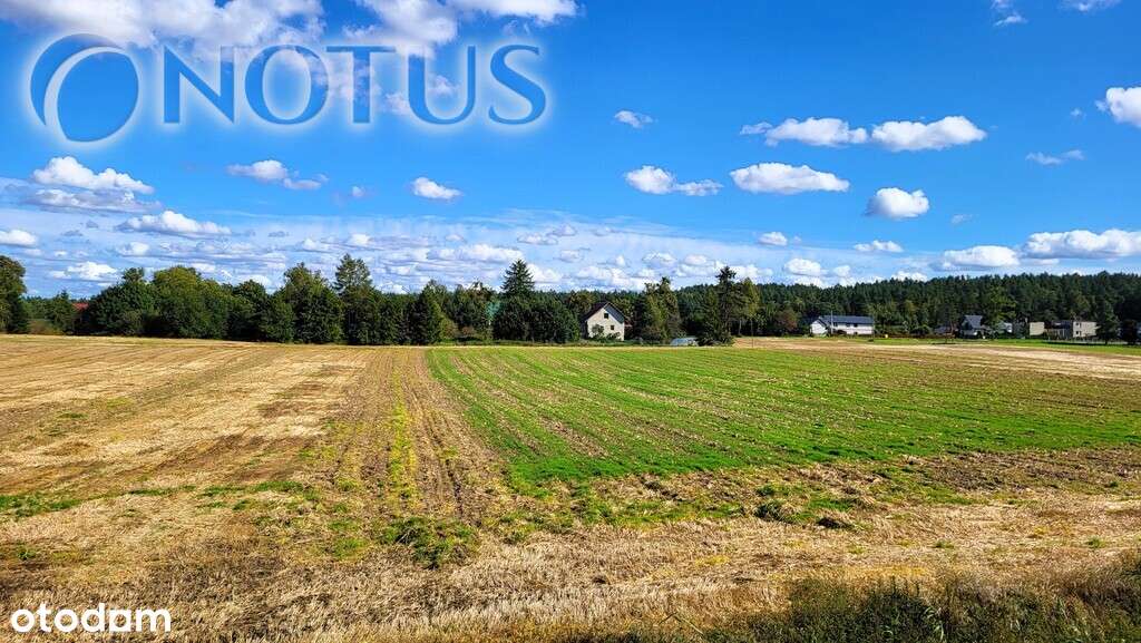 Połowa bliźniaka z pięknym widokiem - Pełny obrazek: 5/10