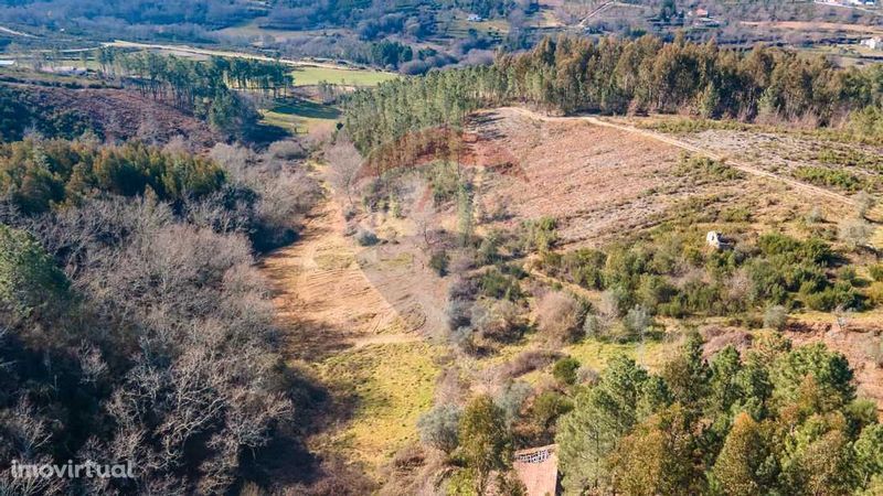 Quinta na serra da Estrela