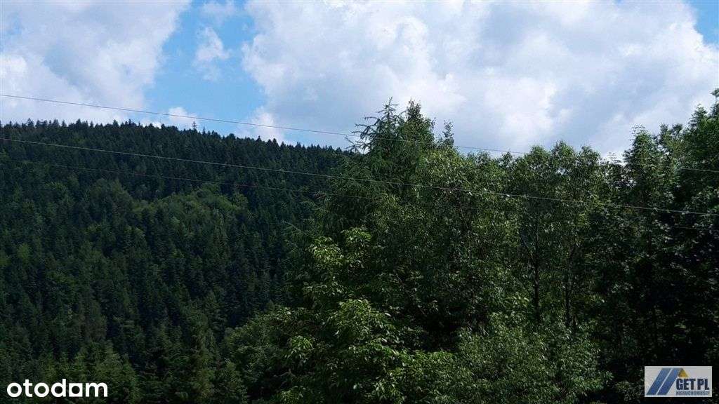 Pod Policą, - Pełny obrazek: 5/7