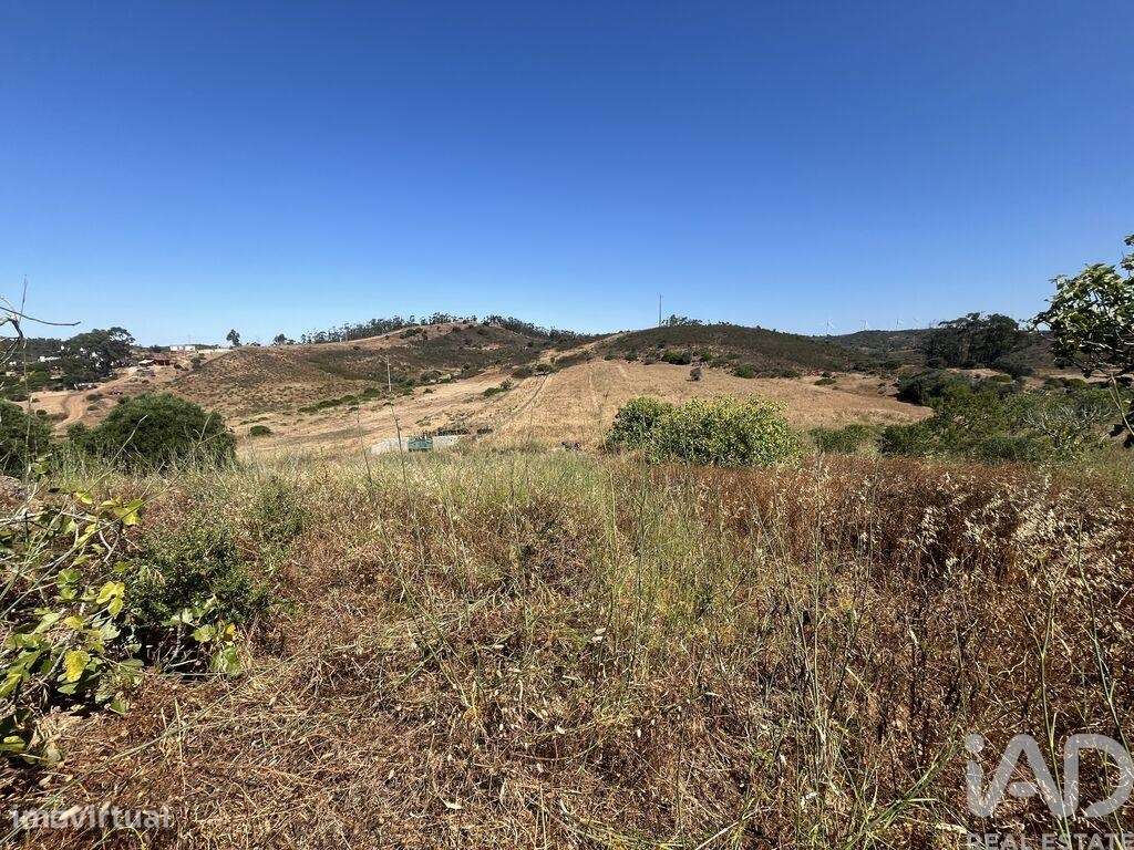 Terreno em Barão de São Miguel - Grande imagem: 5/8