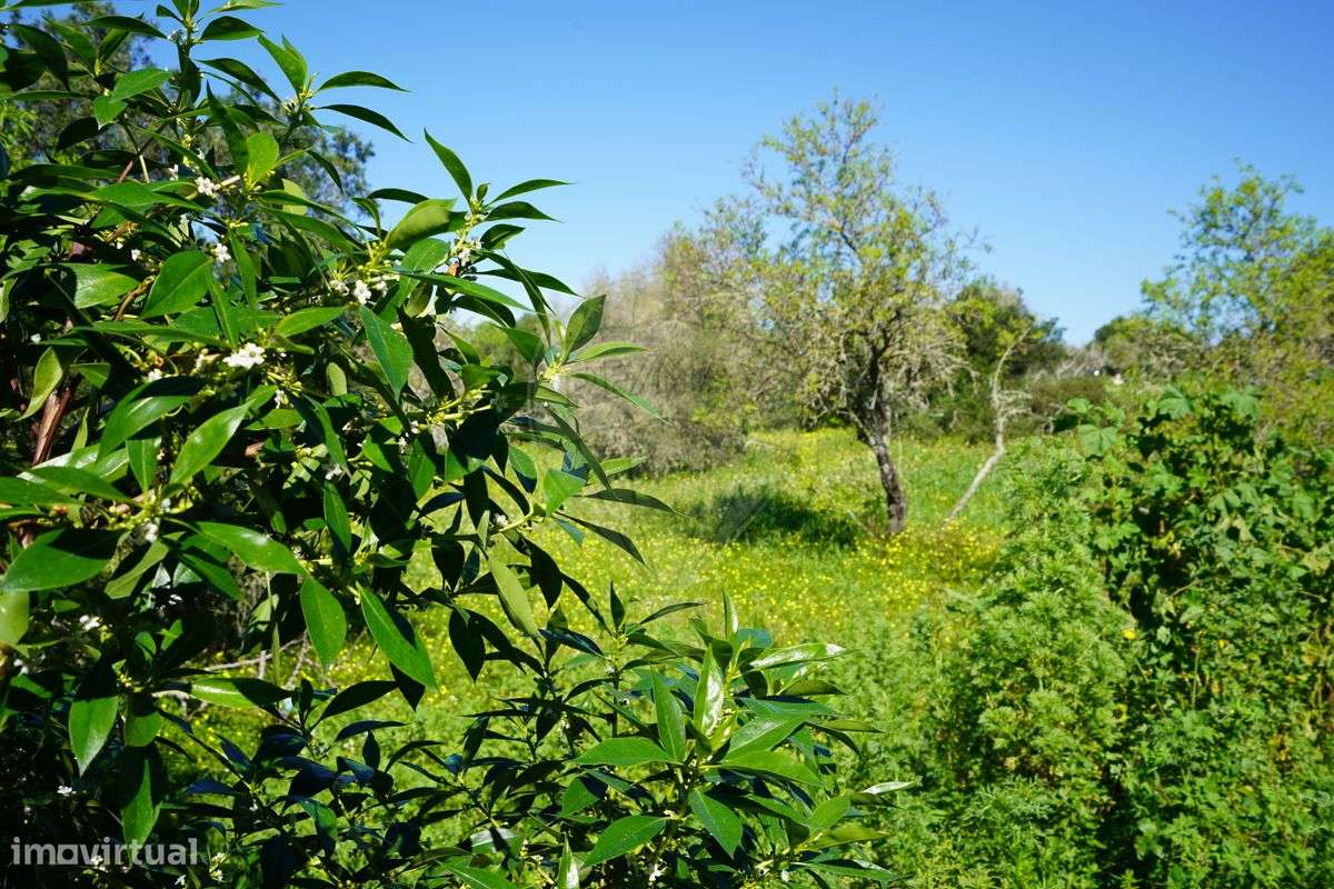 Terreno  para venda - Grande imagem: 5/9