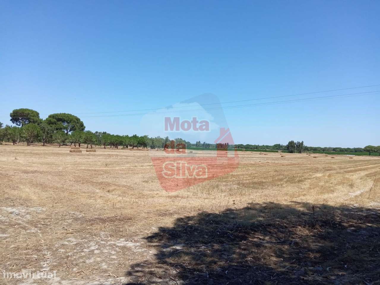 Excelente Terreno para construção e agrícola 10 hectares - Grande imagem: 5/18