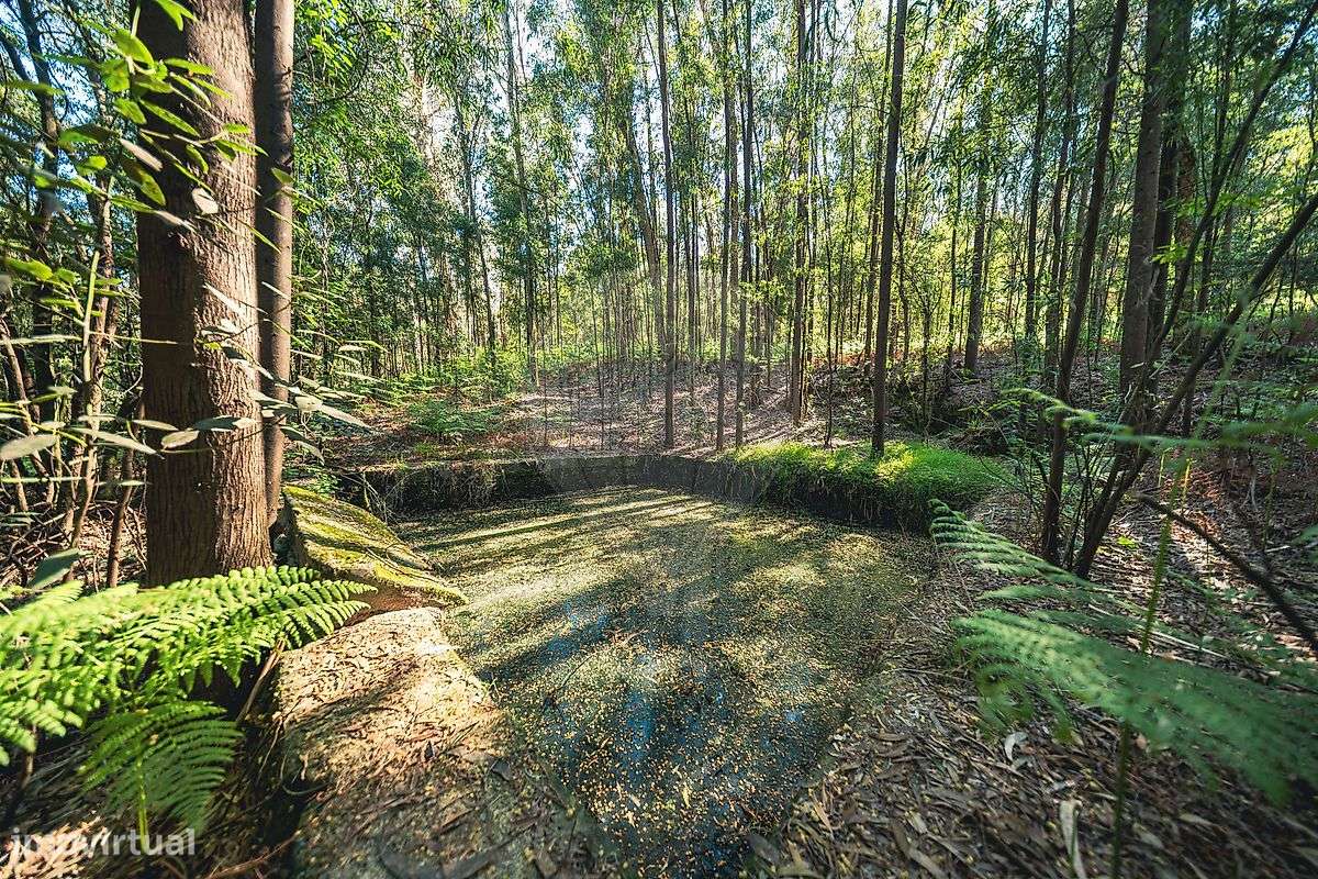 Moradia T4 para venda-18