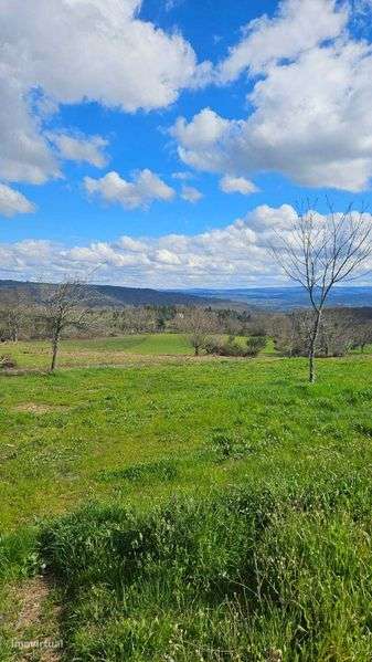Terreno Frechão 2.2ha - Grande imagem: 4/12