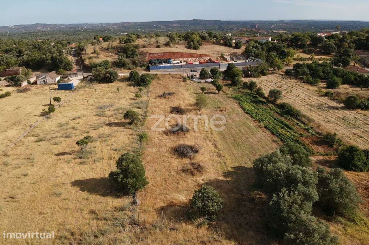 Terreno Rústico com 2.320m2 e poço de água, em Portela de Messines-13
