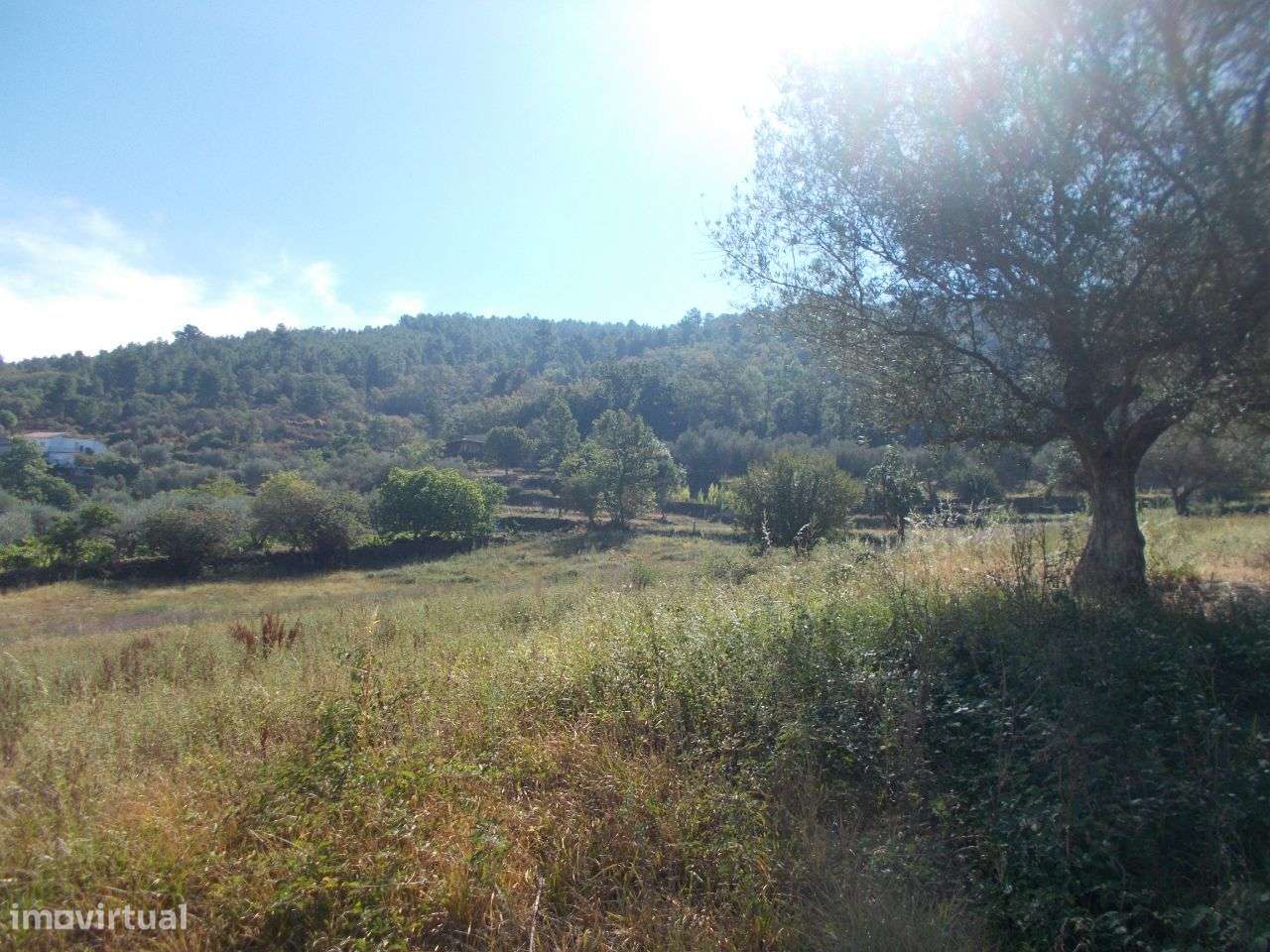 Chaves Quinta Vista Panorâmica-5