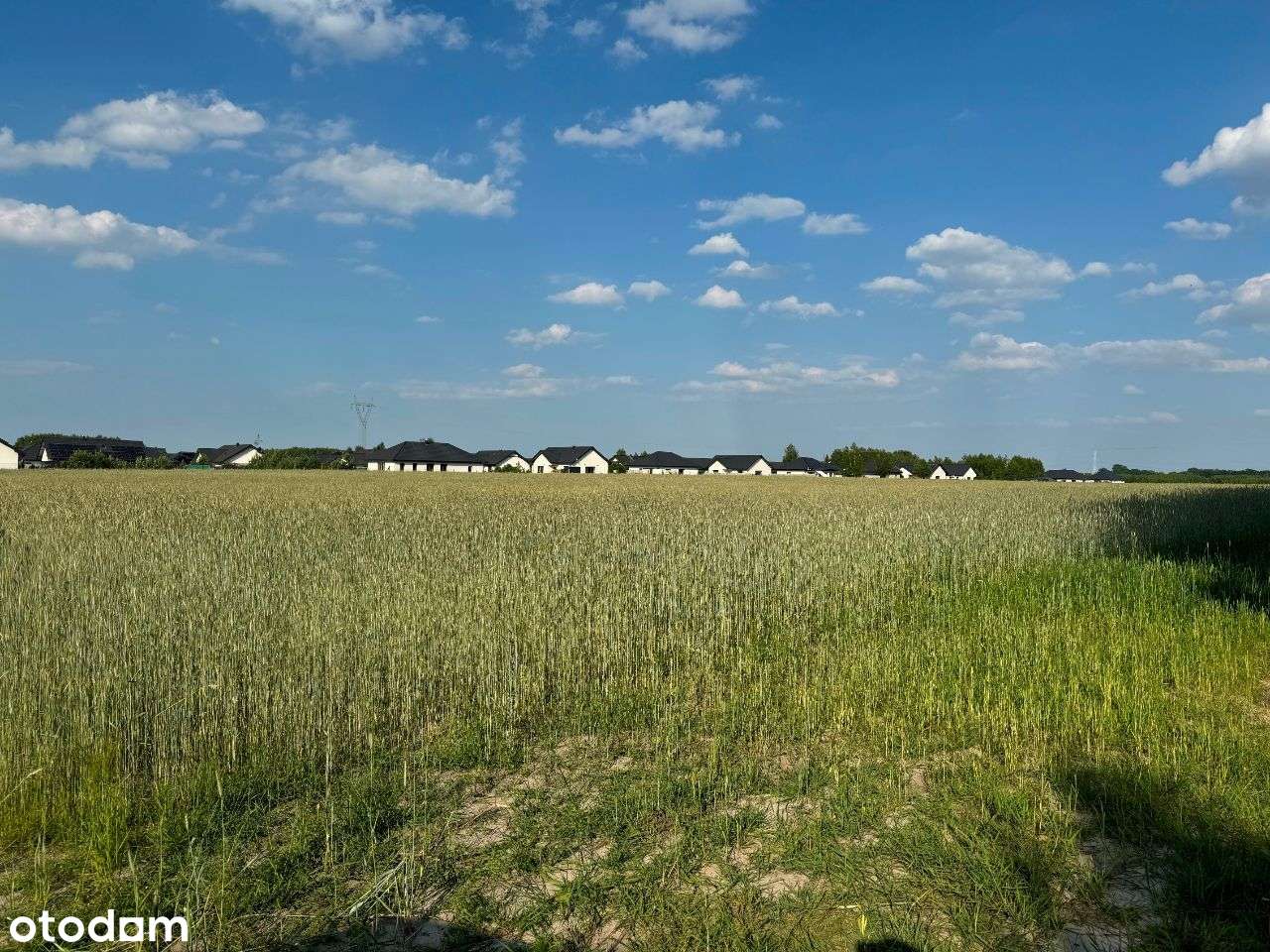 14 działek do wyboru z warunkami zabudowy w Strzelcach Górnych-14