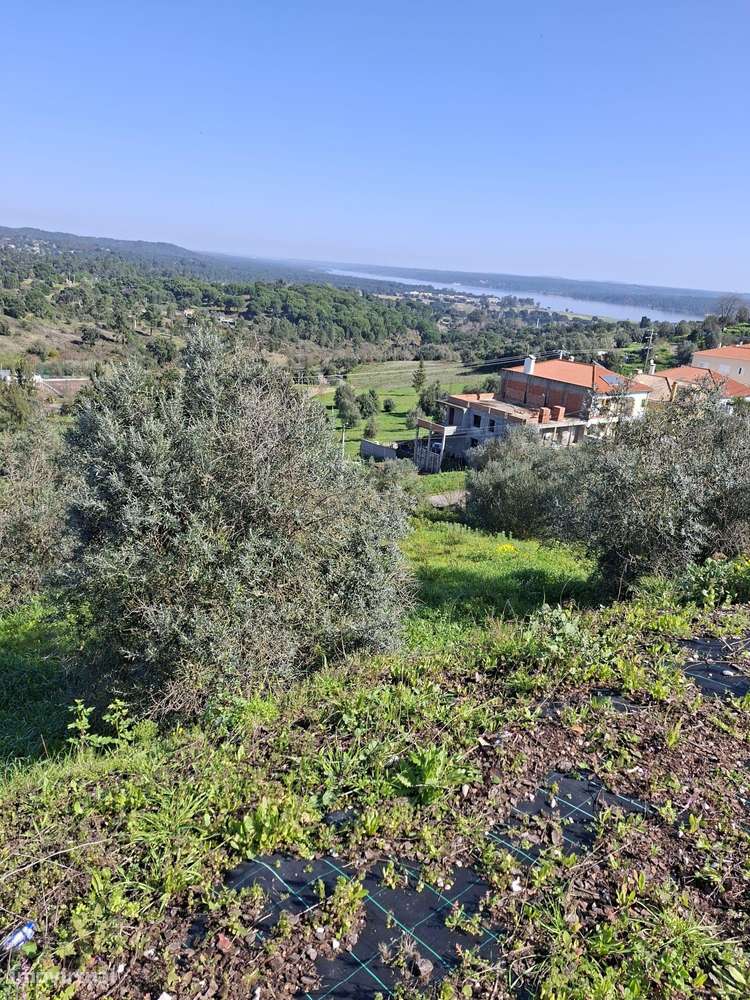 Oportunidade – Lote de Terreno em Montargil-16