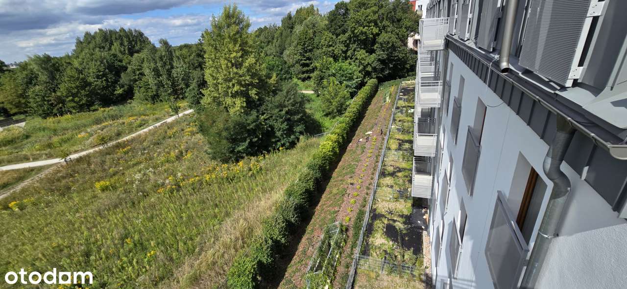 3-pokojowe mieszkanie przy Parku Krzyckim-5