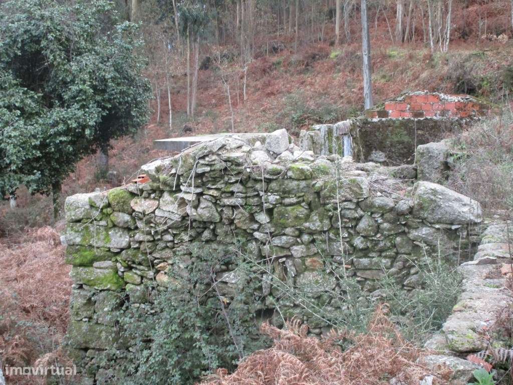 Terreno em Gondufe - Grande imagem: 5/8