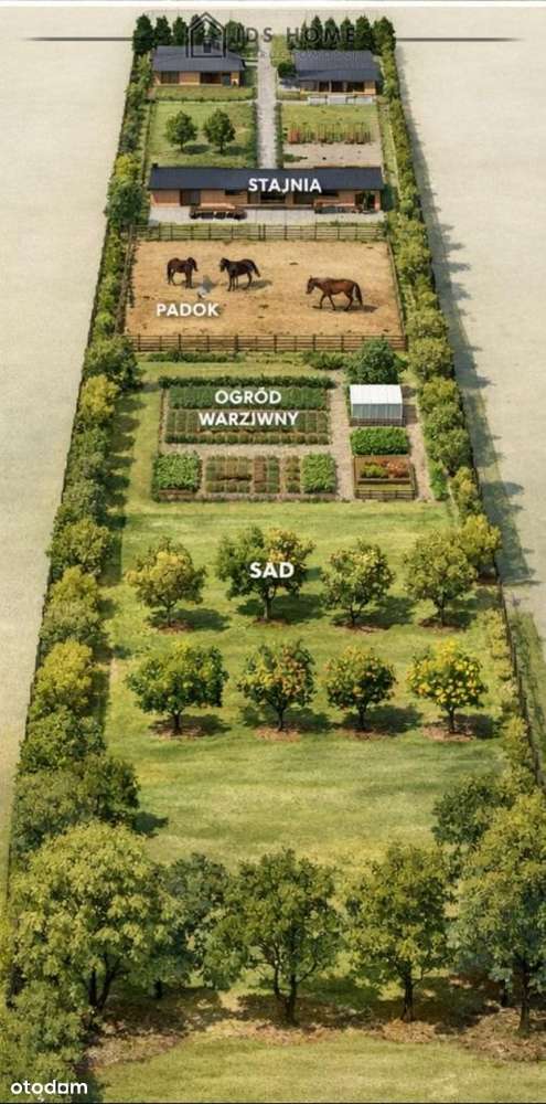 Jakubowice Konińskie Działka Mn Mpzp Na Już-3