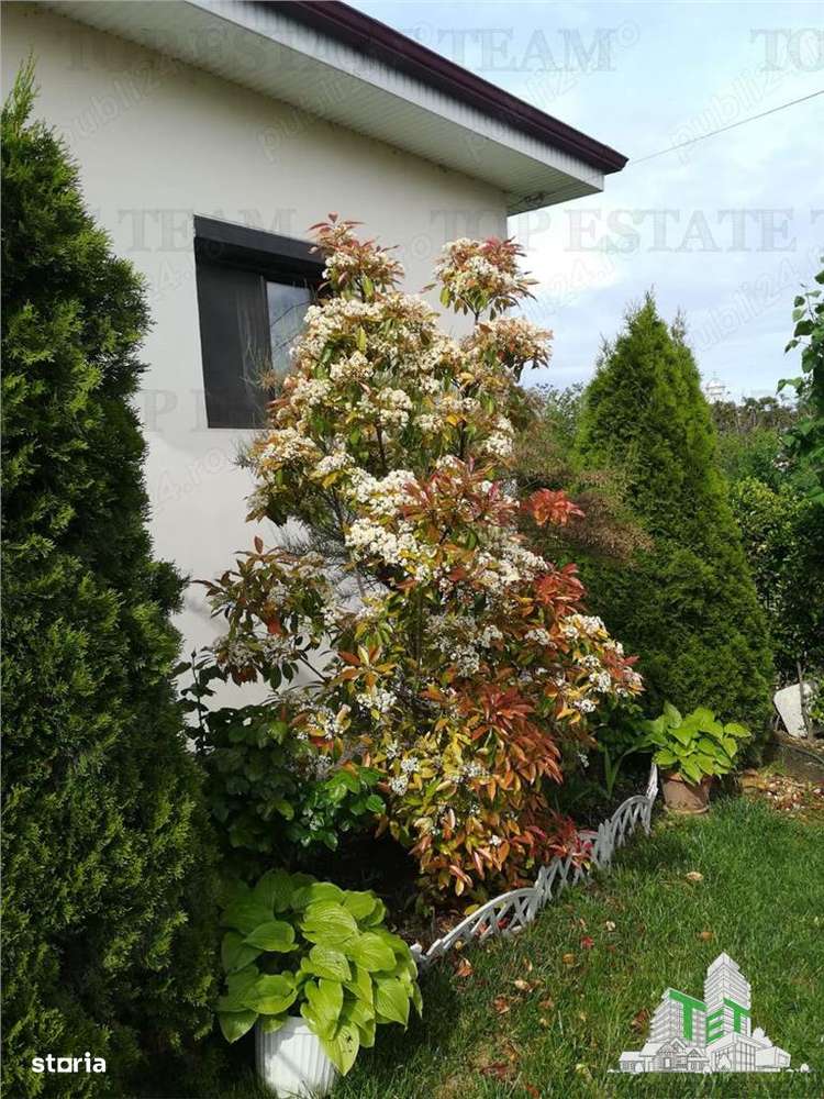 Casa individuala cu 4 camere in Corbu Constanta liniste natura mare si - Imagine principală: 2/2