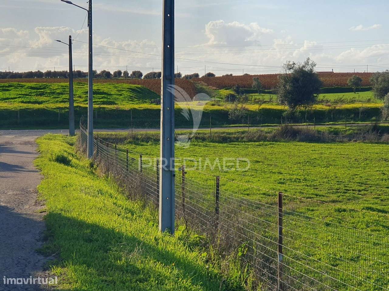 Quinta Agrícola - Grande imagem: 5/6