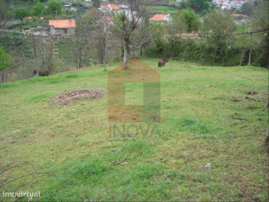 Terreno, Aboim da Nóbrega - Grande imagem: 2/3