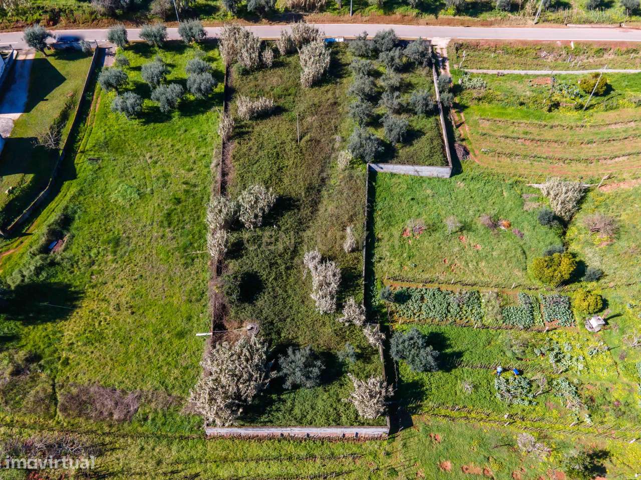Terreno para Construção | Ceira-9