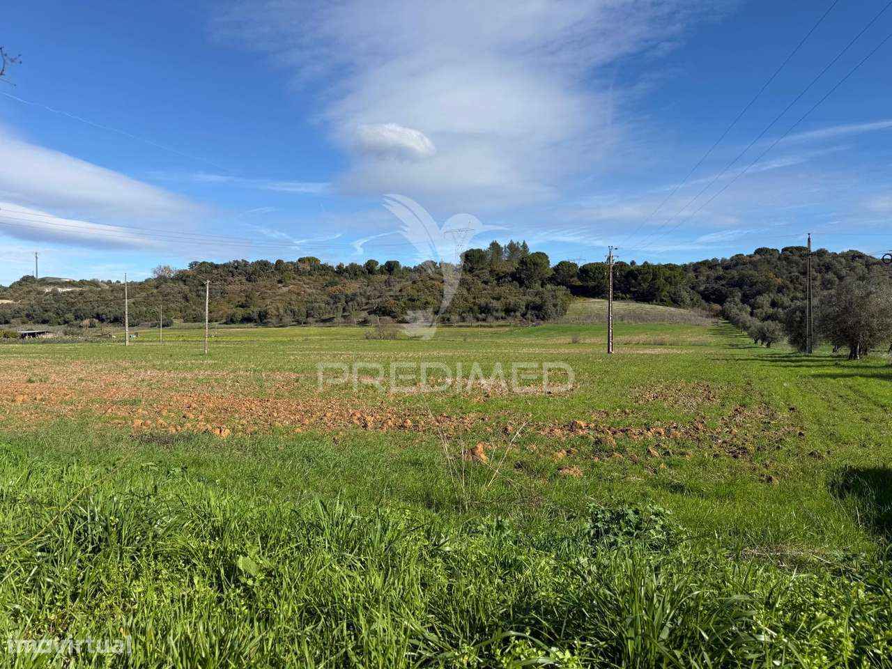 Terreno Rústico em Pernes – Santarém | 27 440,00 m² - Grande imagem: 5/29