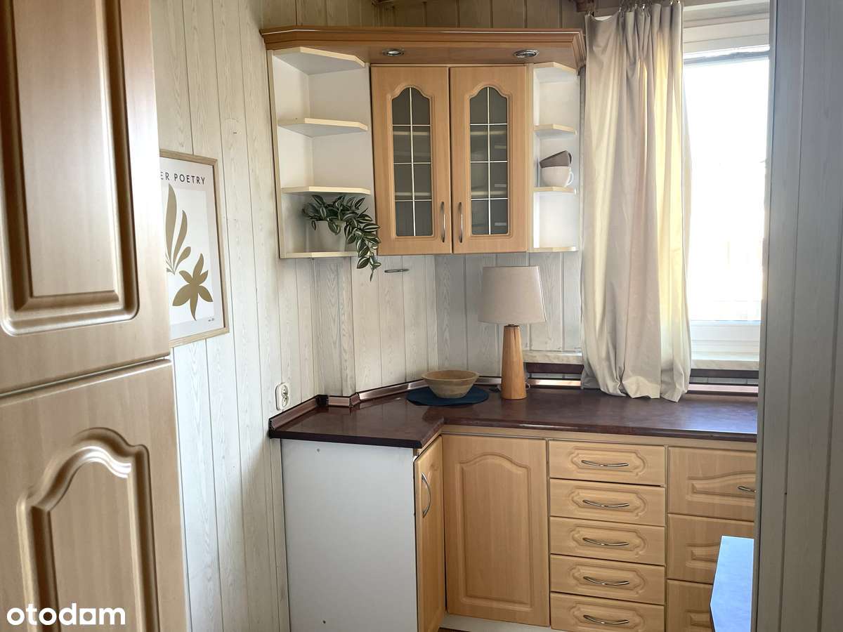 Dwa duże pokoje skąpane słońcem-7