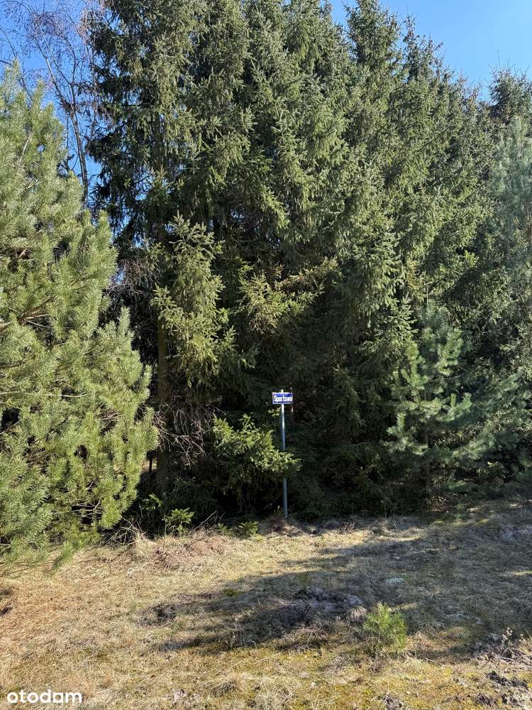 Urokliwa działka budowlana nad jeziorem Laskowskim (200 m do wody)-8