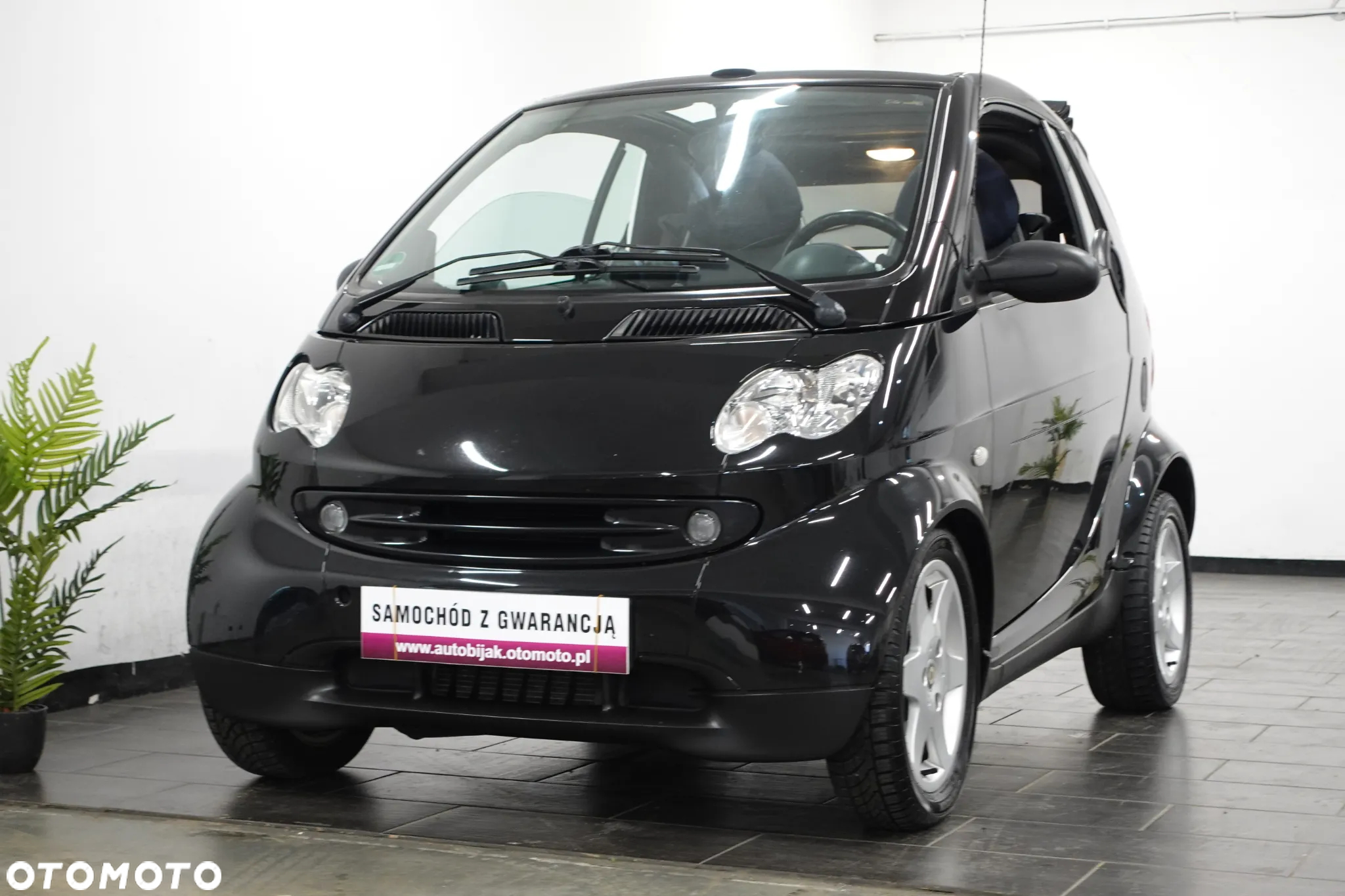 Smart Fortwo & pulse - 3