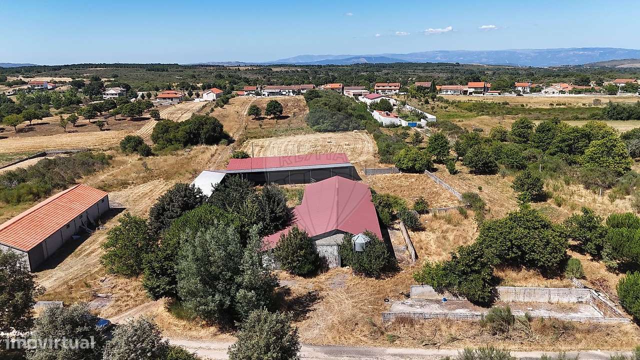 Armazém  para venda - Grande imagem: 4/14