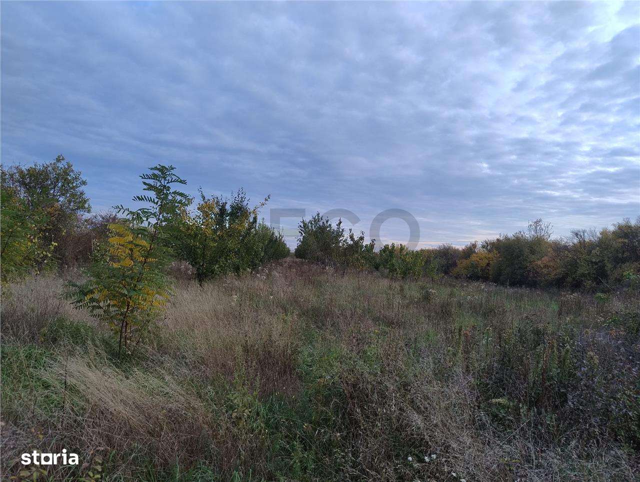 RECO Teren intravilan Miersig - Imagine principală: 5/5