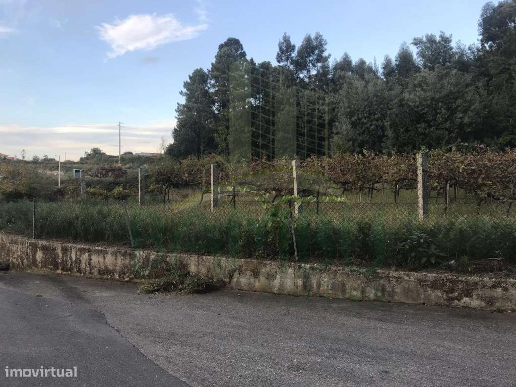 Terreno para construção em Ganfei - Grande imagem: 5/5